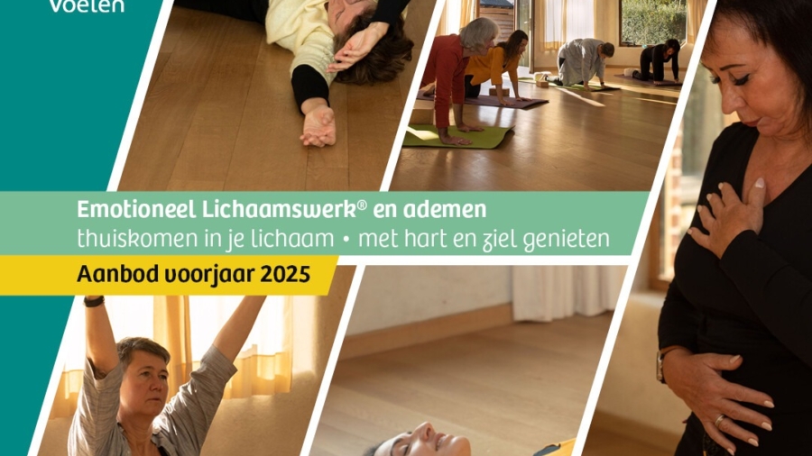CEVO_031_LAY_PostkaartNEL_Instagrampost_front_2024-11-18